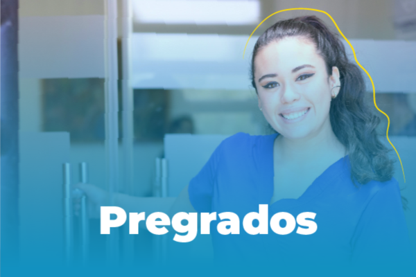 Imagen decorativa Pregrados